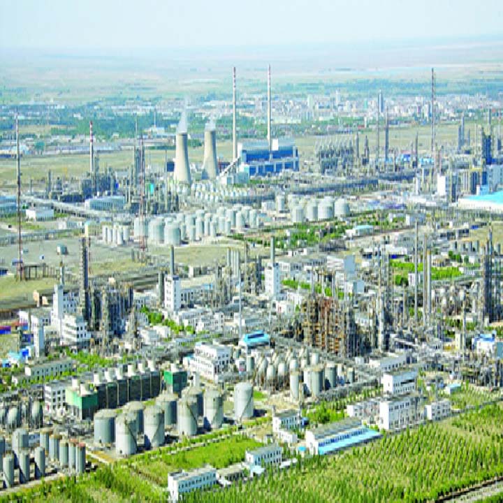 獨(dú)山子石化公司